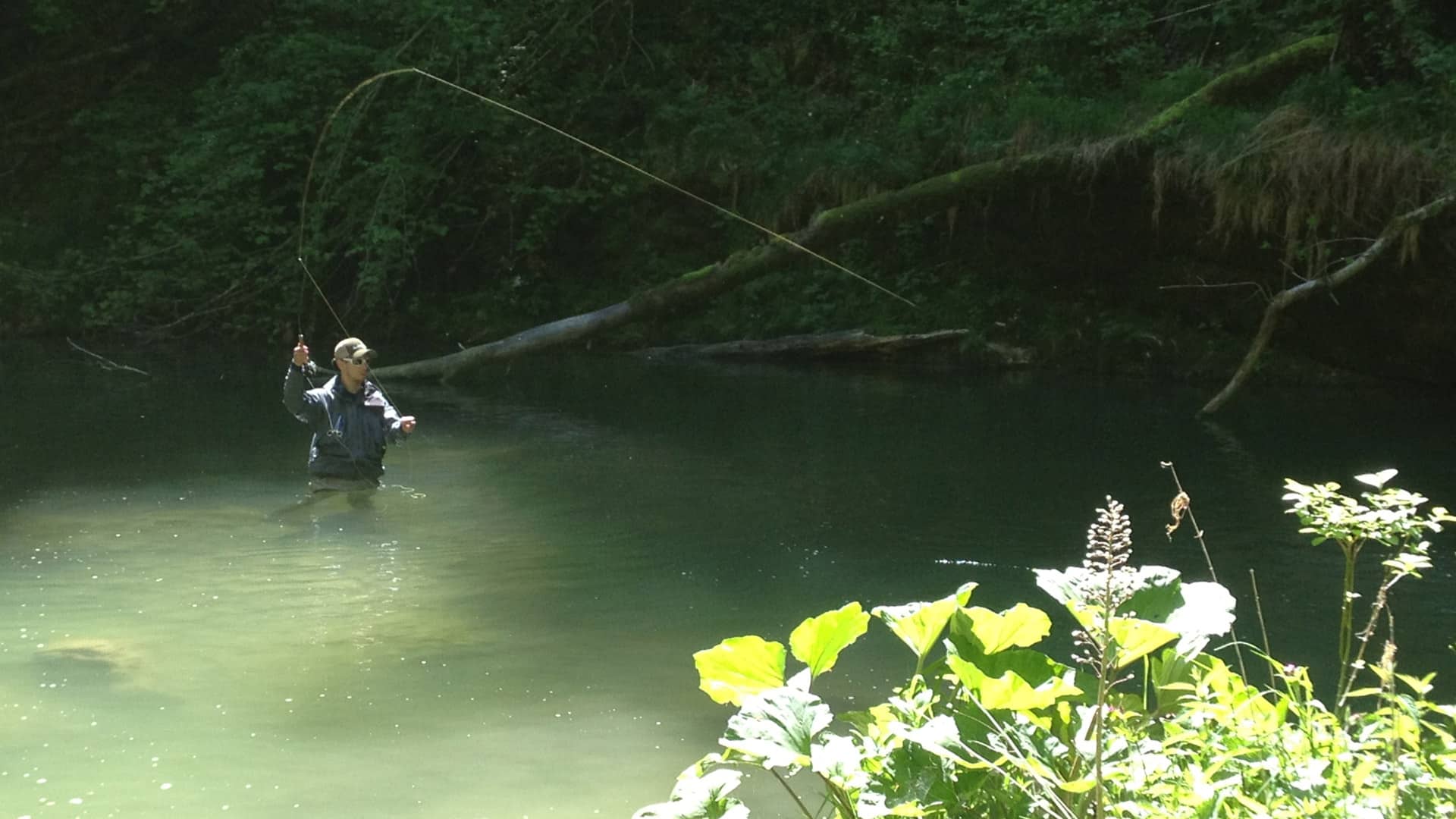 Pêche à la mouche en rivière vaudoise