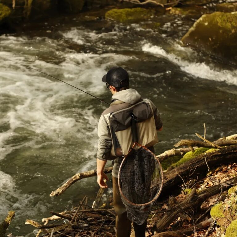 Streamer